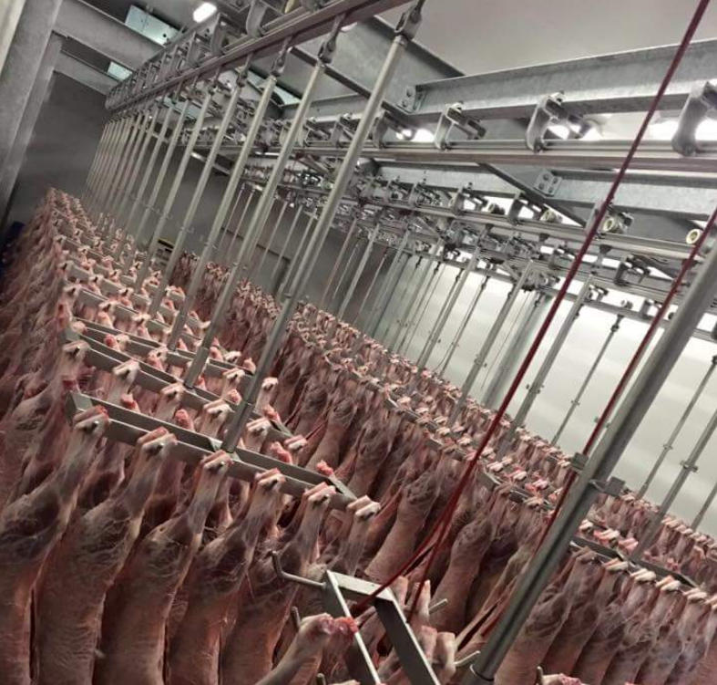 Olivares De Blas Ayllón