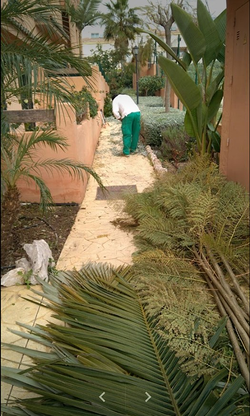 Galería de imágenes