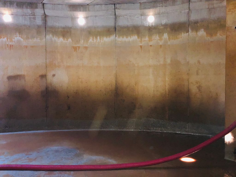 Desatascos Coyanza 6