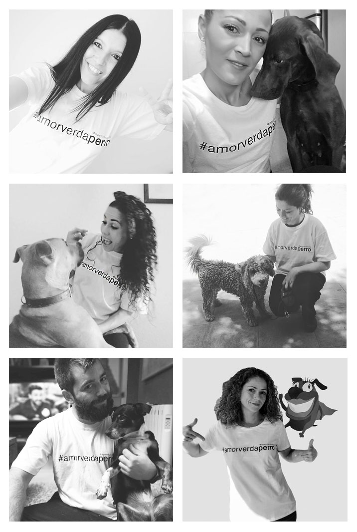 La Perrita Valiente FUNDACIONES Y ASOCIACIONES DE PROTECCION DE LOS ANIMALES