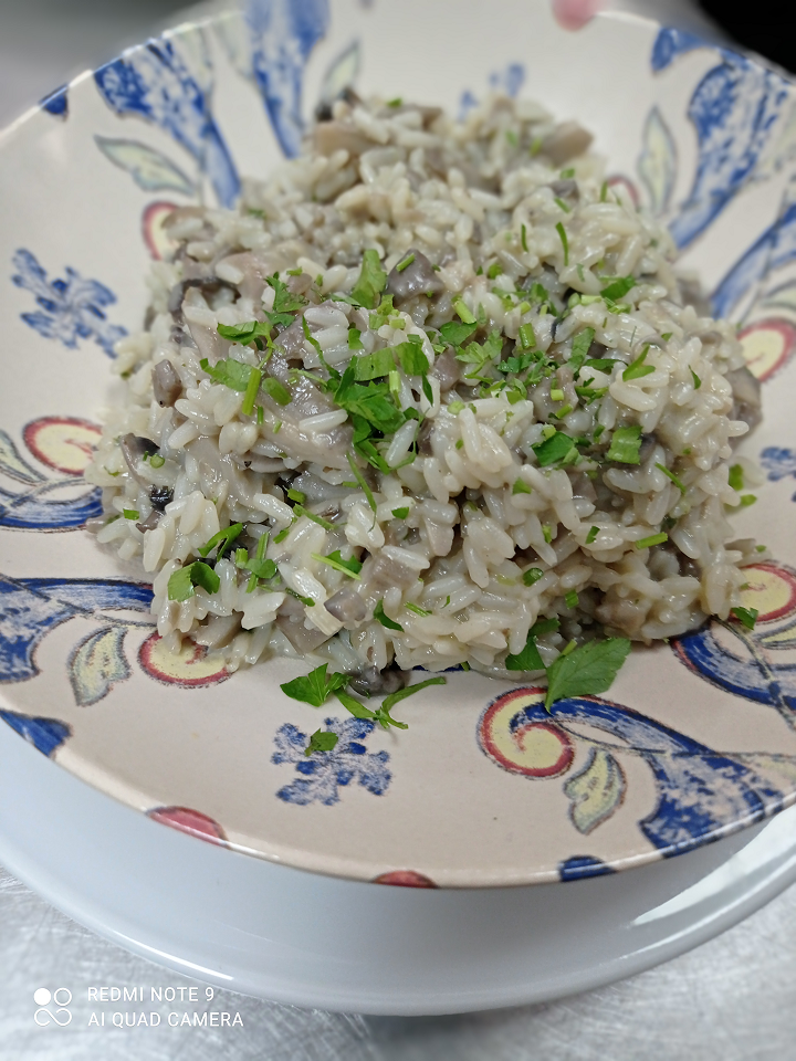 La Guarida Del Caballo 10