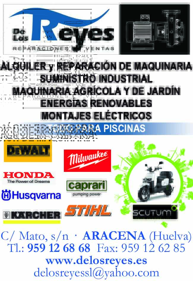 De Los Reyes Reparaciones y Ventas Aracena De Los Reyes Reparaciones y Ventas Aracena