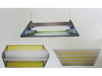 SBA Control de Plagas 2