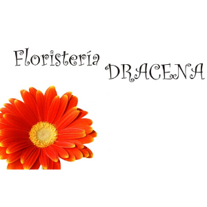 Floristería Drácena