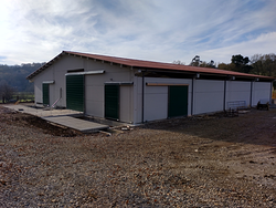 Galería de imágenes