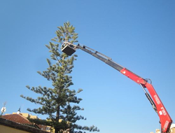 Galería de imágenes