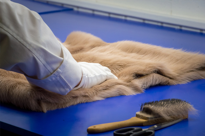 Sullen PIELES Y CURTIDOS