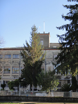 Galería de imágenes