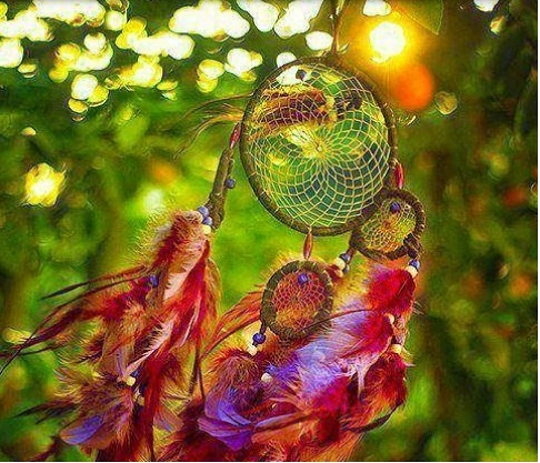 Purificaci&oacute;n Del Valle Gonz&aacute;lez-Ruiz 7