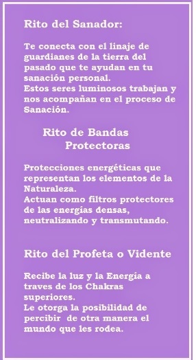 Purificaci&oacute;n Del Valle Gonz&aacute;lez-Ruiz 4