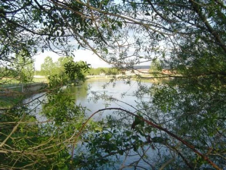 Imagen de Casa Rural Rio Adaja