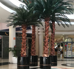 Galería de imágenes