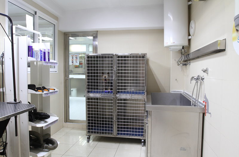 Cl&iacute;nica Veterinaria Dr. Nieto CLINICAS VETERINARIAS