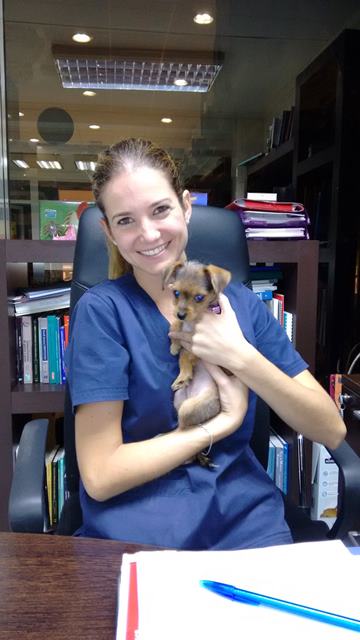 Cl&iacute;nica Veterinaria Dr. Nieto 11