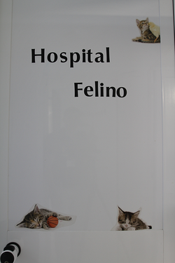 Clínica Veterinaria Dr. Nieto Torremolinos Clínica Veterinaria Dr. Nieto Torremolinos