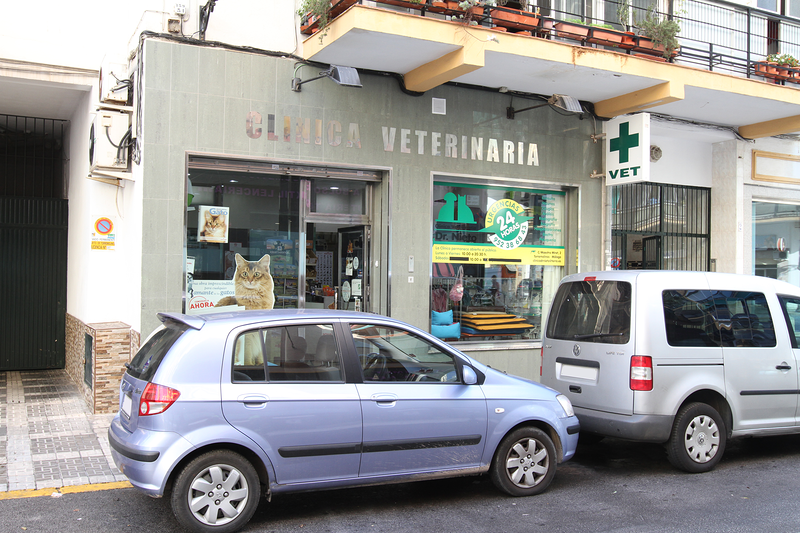 Cl&iacute;nica Veterinaria Dr. Nieto 7