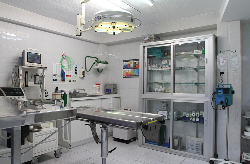 Cl&iacute;nica Veterinaria Dr. Nieto 8