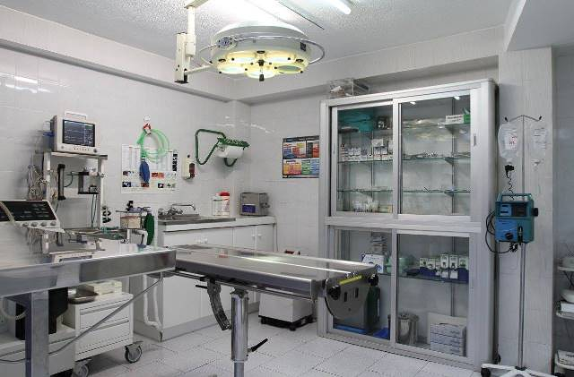 Cl&iacute;nica Veterinaria Dr. Nieto 10