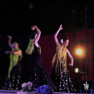 Escuela de Danza Maria Teresa Gomez 6