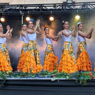 Escuela de Danza Maria Teresa Gomez DANZA: ESCUELAS