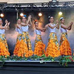 Galería de imágenes