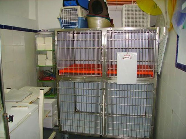 Centro Veterinario Coria 2