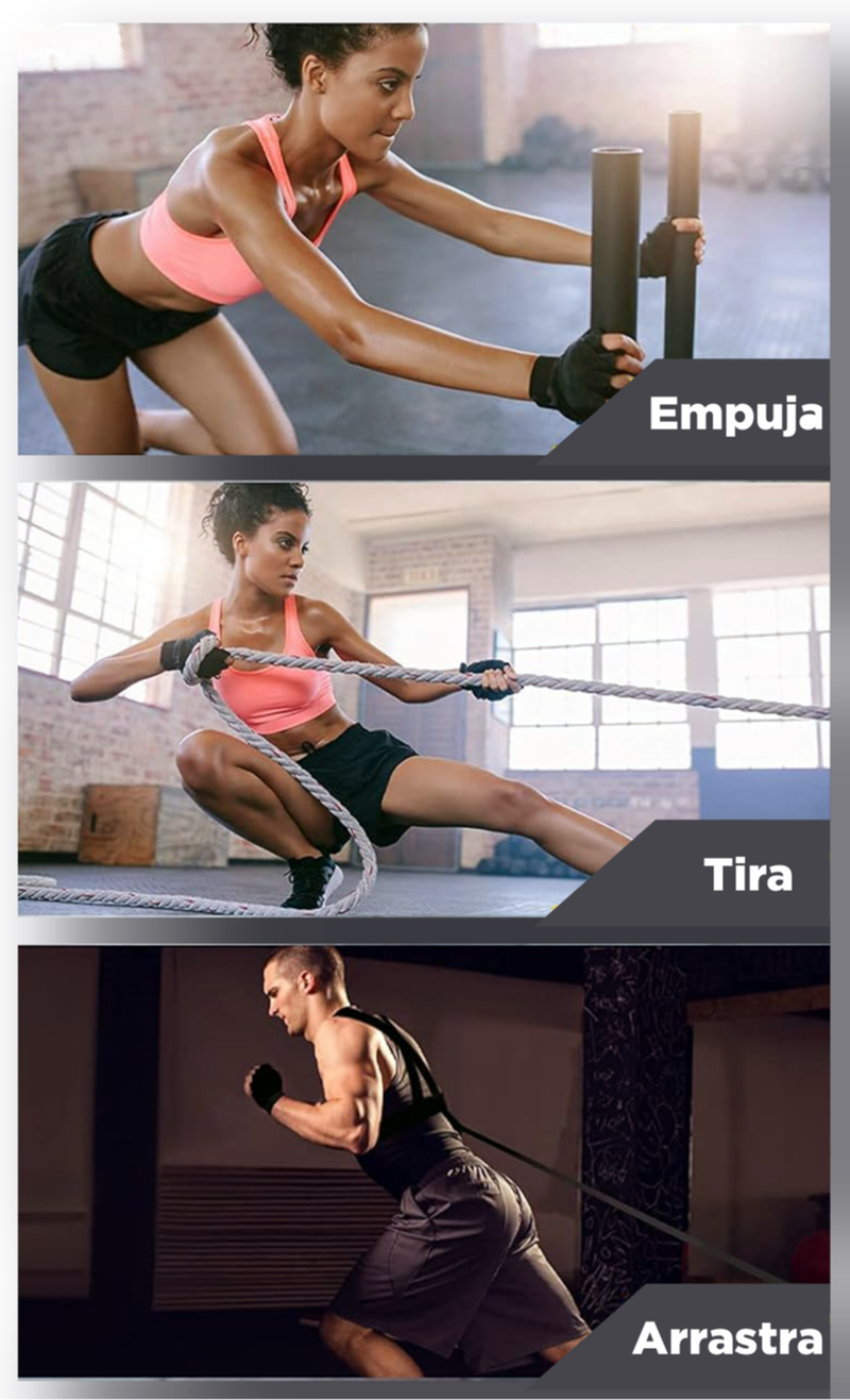 Viss-Sport Desarrollos Mec&aacute;nicos Auria 4