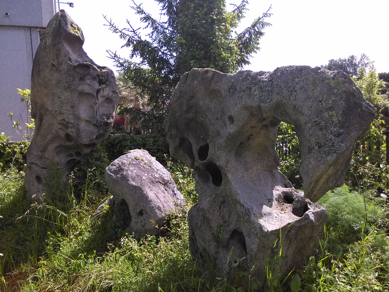 Jardiner&iacute;a Valladares 4