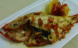 Galería de imágenes