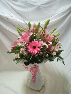 Galería de imágenes