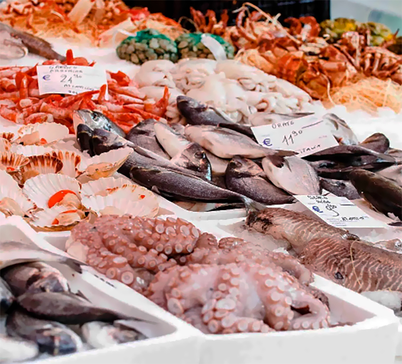 Peixateria del Barri El Prat de Llobregat