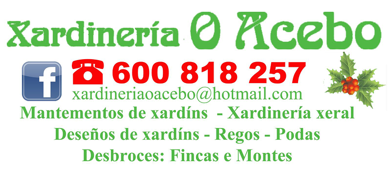 Xardiner&iacute;a O Acebo 3