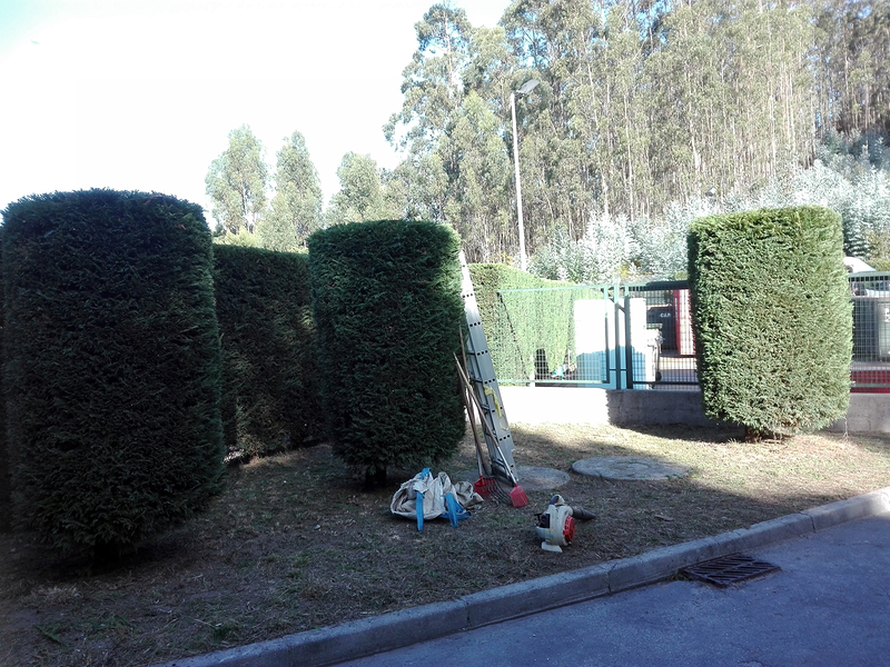 Xardiner&iacute;a O Acebo 9