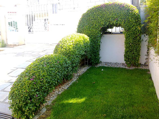 Xardiner&iacute;a O Acebo 8