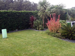 Galería de imágenes