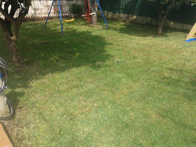 Xardiner&iacute;a O Acebo 5