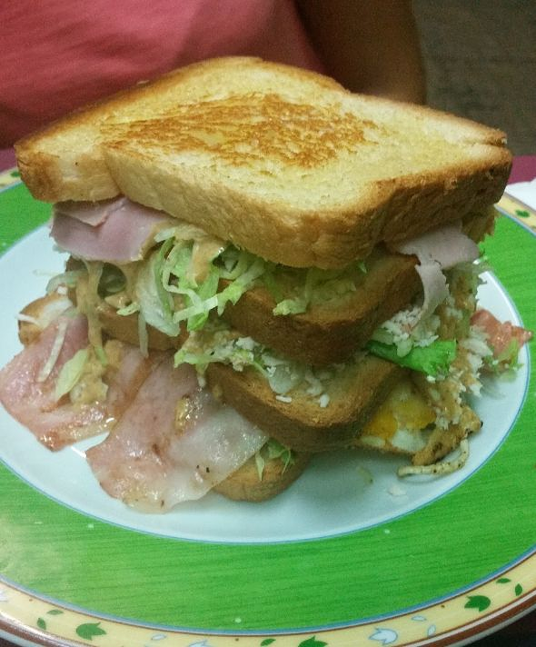 La Rosa dels Jardins - Reus 3