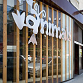 Galería de imágenes