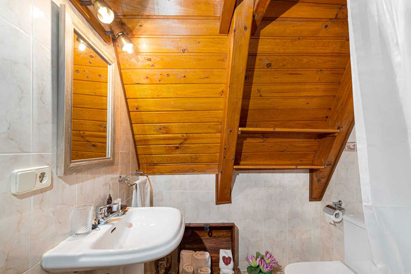 Casa Rural Vall d&acute;Aran - Casa Puig Vielha e Mijaran