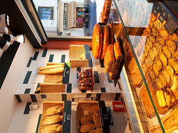 Galería de imágenes