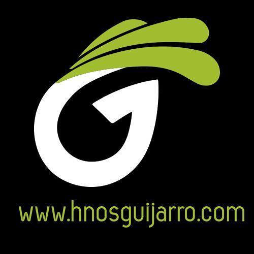 Limpiezas Guijarro 5