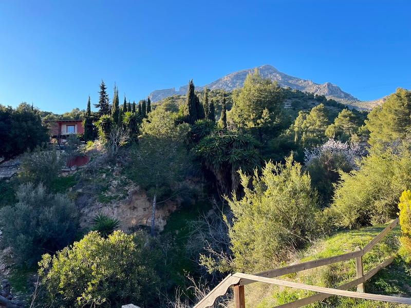 Finepark Bungalows 4