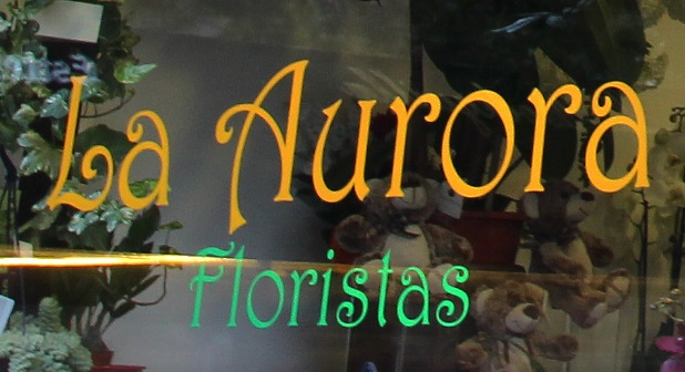 Floristería La Aurora 9