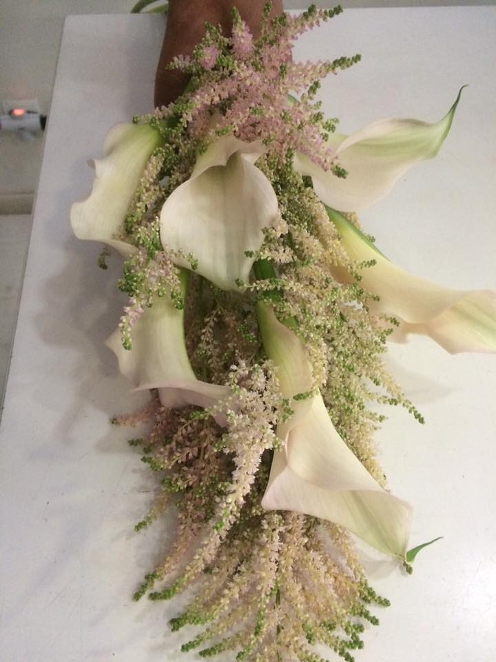 Floristería La Aurora 7