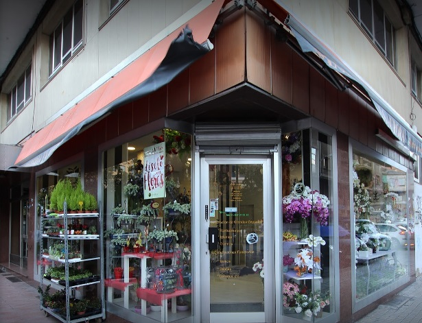 Floristería La Aurora 5