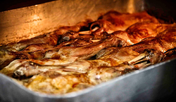 Galería de imágenes