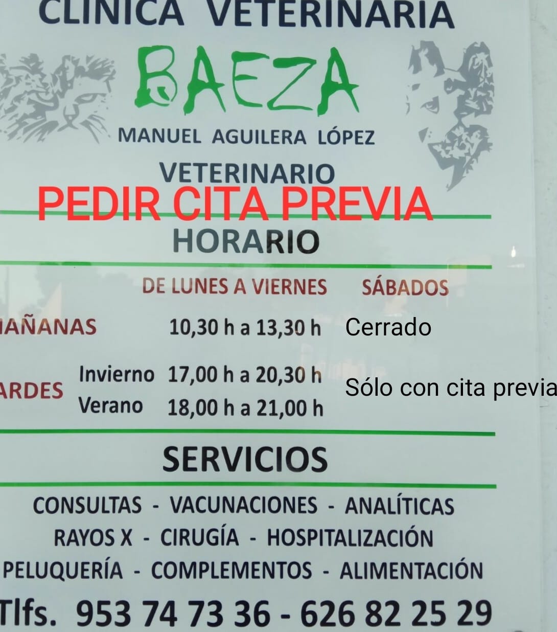 Galería de imágenes