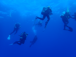 Blaumar Dive Center 4 Blaumar Dive Center 4