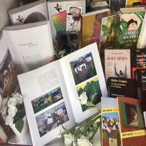 Librer&iacute;a Valderas 3