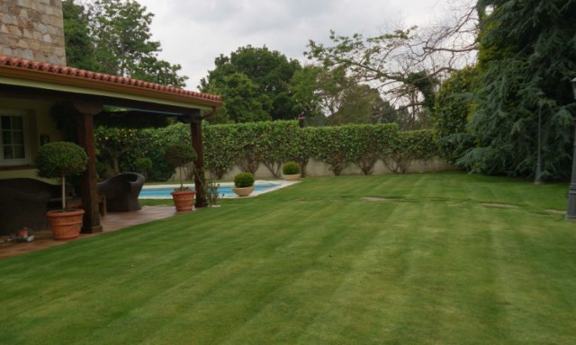 Agrib Jardinería JARDINERIA: EMPRESAS DE SERVICIOS